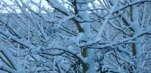 Snow in Suffolk