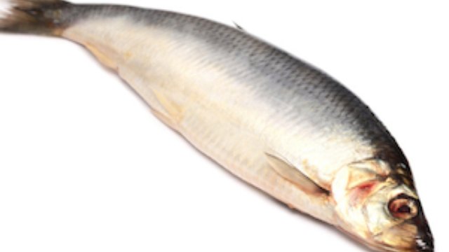 Why Are Smoked Herrings Called Kippers? - LBC