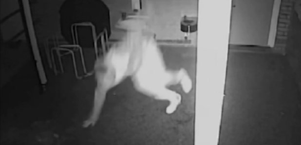 Nursery Thief Ankle Fall