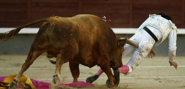 Bullfighter Gored
