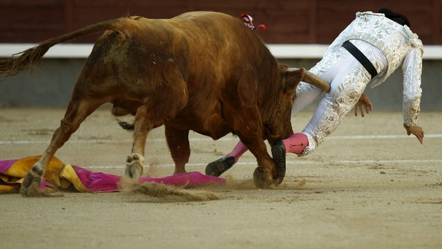 Uproar As Ban On Bullfighting Overturned In Catalonia Lbc