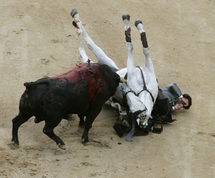 Bullfighter Horse Gored