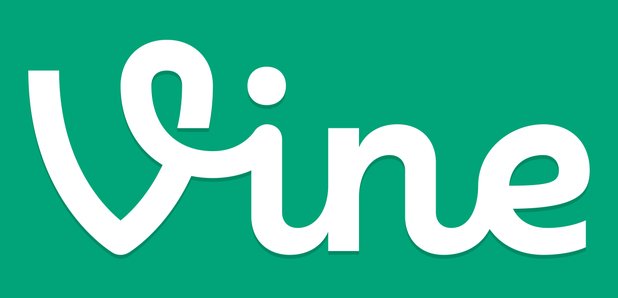 Vine logo