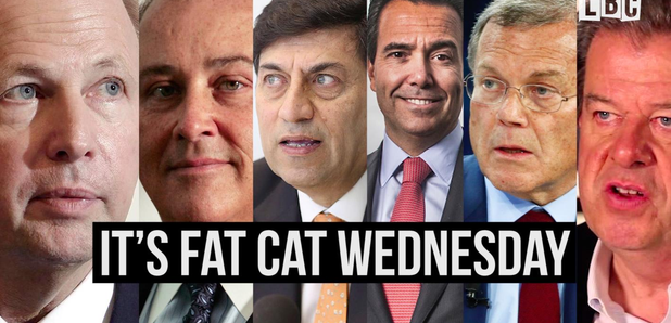 Fat Cat Wednesday