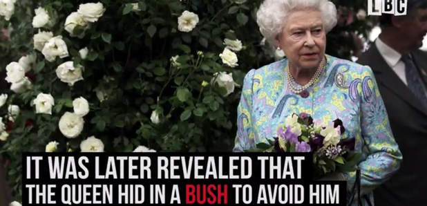 Queen Bush