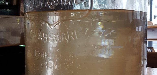 Brown water in glass jug