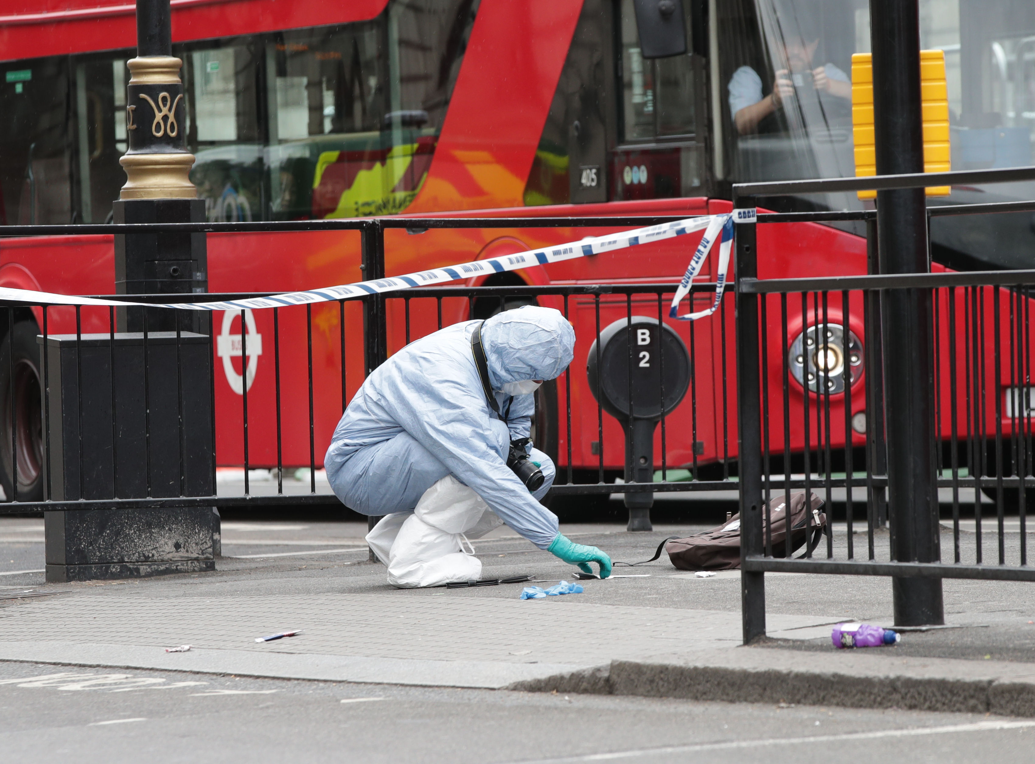 Whitehall Forensic